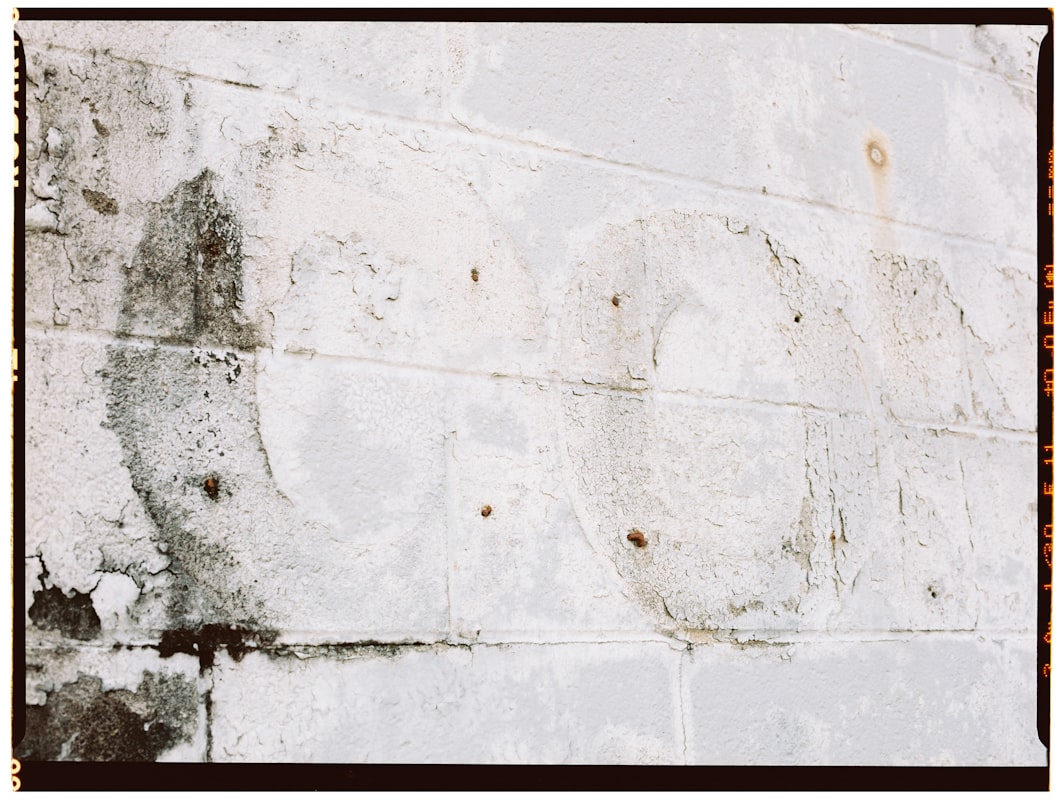 Mold Remediation service in West Covina, CA